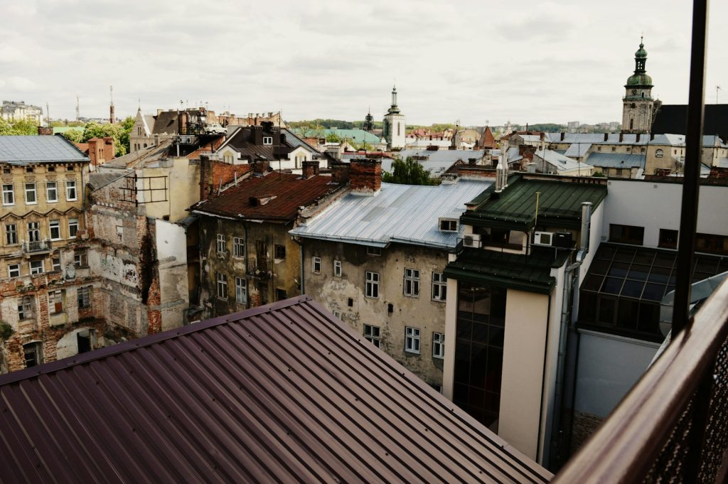 cathedral surrounded by houses during daytime