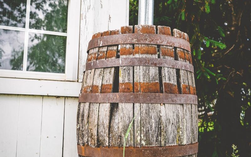 Vintage wooden barrel with metal bands beside a garden shed, surrounded by greenery.